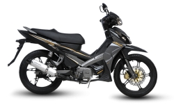 Demak DV110