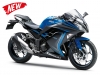 Kawasaki Ninja 300 ABS