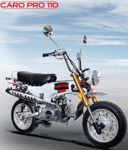 Daiichi Caro PRO 110