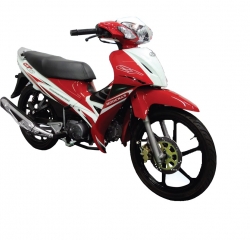 Modenas CT100H