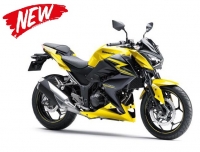 Kawasaki Z300 ABS